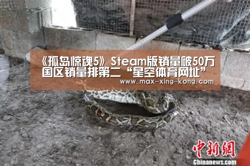 《孤岛惊魂5》Steam版销量破50万 国区销量排第二“星空体育网址”(图2) 星空体育入口